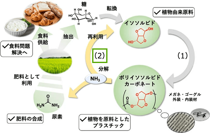 植物由来原料（イソソルビド）からプラスチック（ポリカーボネート）を合成する工程（1）と、原料を再生すると同時に、植物肥料である尿素を生成するリサイクルシステム（2）を図式化したもの