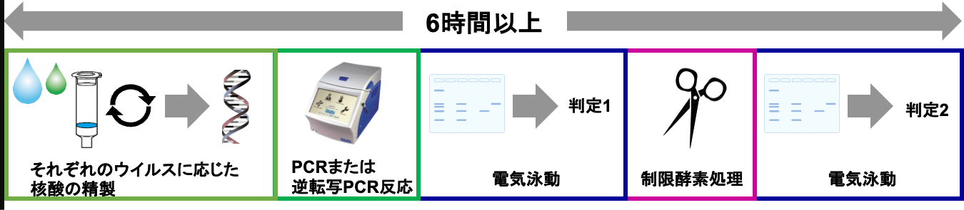 従来の遺伝子検査法で、（1）それぞれのウイルスに応じた核酸の精製、（2）PCRまたは逆転写PCR反応、（3）電気泳動（判定1）、（4）制限酵素処理、（5）電気泳動（判定2）に6時間以上要することが示された図