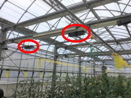 JA全農展示圃場における磁歪式振動装置の実証試験の写真