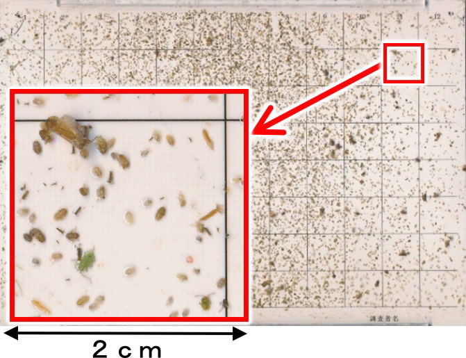 調査板を画像化した図