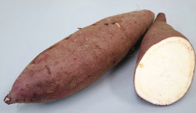 「べにひなた」塊根の写真