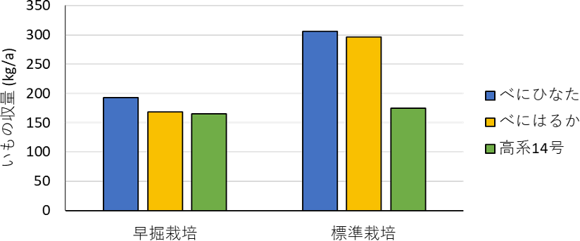 「べにひなた」、「べにはるか」、「高系14号」の収量を比較した図。「べにひなた」は「べにはるか」並に多収。
