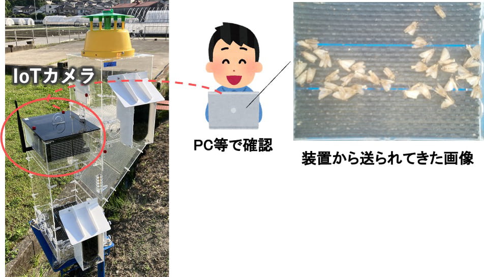 モニタリング装置の写真。フェロモントラップに捕殺された害虫を、IoTカメラを用いて自動で画像取得。トラップ内の捕殺害虫は撮影後に自動廃棄。
