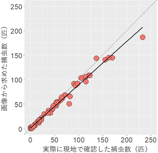 図：画像から求めた捕虫数と実際に現地で確認した捕虫数