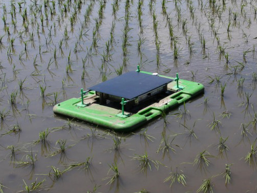 航行中の「アイガモロボ」の写真