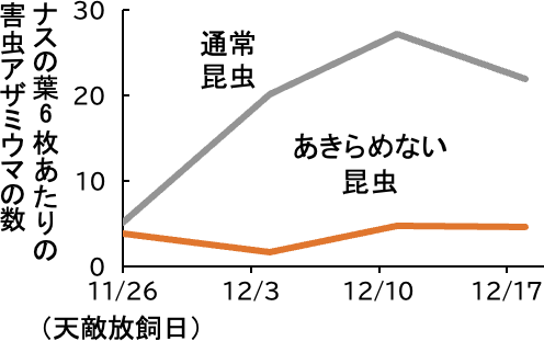 あきらめずに探索を続ける昆虫を利用することで、害虫に対する防除効果が発揮されたことをナスの葉6枚あたりの害虫「アザミウマ」の数で示した図。