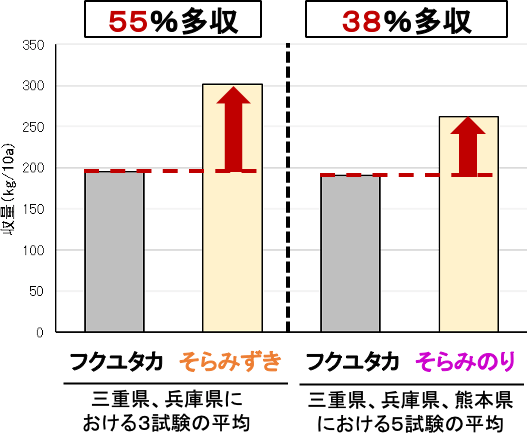 「そらみずき」「そらみのり」の平均収量を「フクユタカ」と比較した図。「そらみずき」は55％多収、「そらみのり」は38％多収。