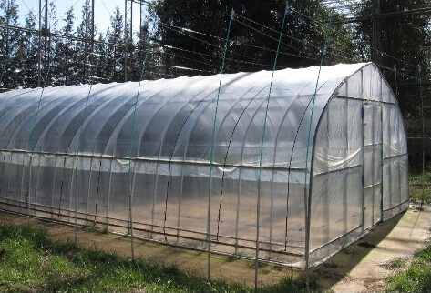 「ハウスにテグス君」の設置試験の写真