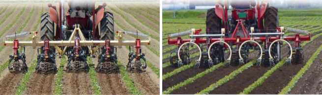 雑草害対策技術（多機能カルチベータ―）