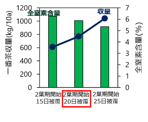 被覆期間と収量・品質（全窒素含量）の関係