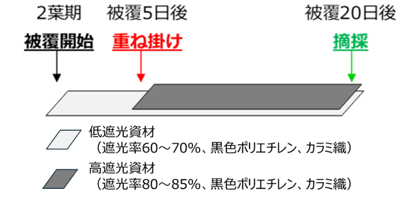二段階被覆のイメージ図