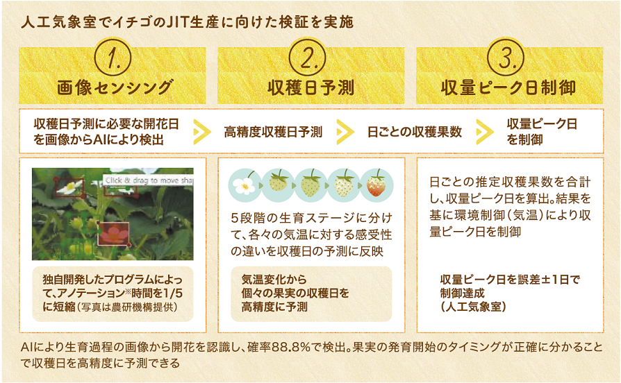 図：人工気象室でイチゴのJIT生産に向けた検証を実施。1画像センシング、2収穫日予測、3収穫ピーク日制御