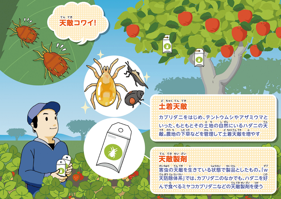 図:土着天敵、天敵製剤