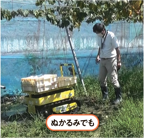 写真:ぬかるみでも