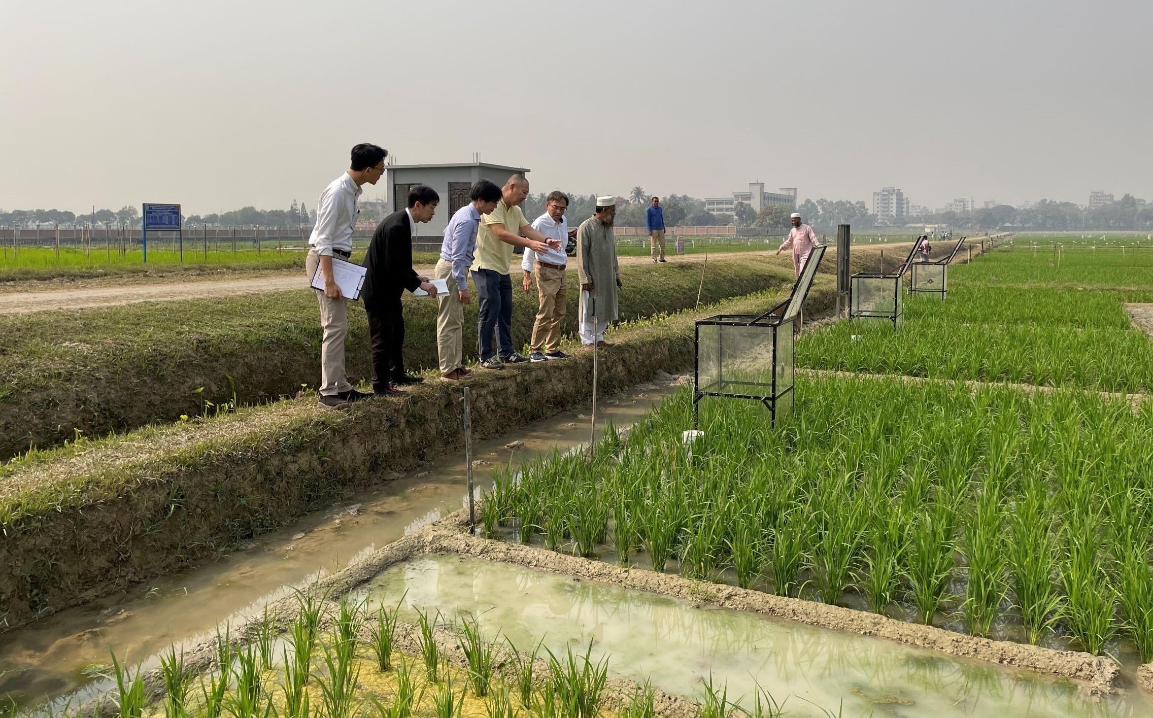 水田からのメタン排出量の測定を行う実証研究圃場（バングラデシュ）