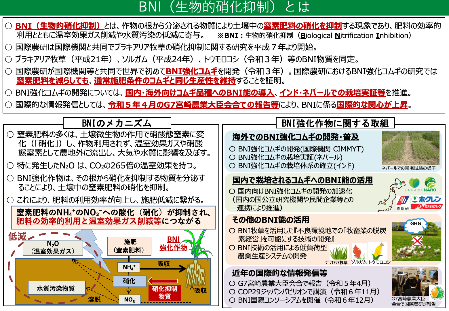 BNI(生物的硝化抑制)の概要