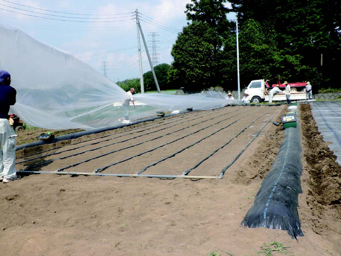 エタノールによる土壌還元消毒の様子