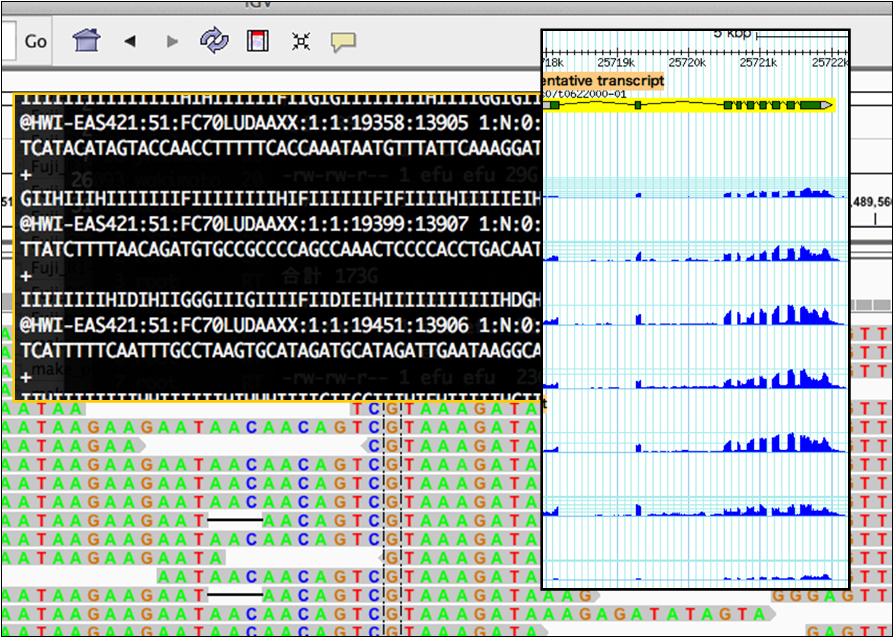 FASTQ形式の解析データと結果表⽰のブラウザ